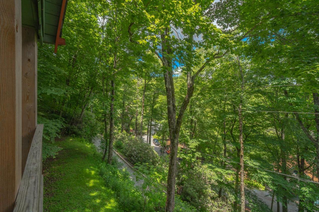 Swiss Mountain Village Блоуинг Рок Екстериор снимка